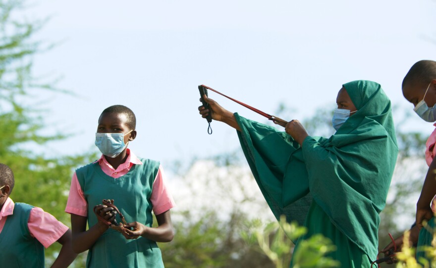 School children firing seed balls (containing Acacia tree seeds Acacia)into the landscape using catapults. Kenya.