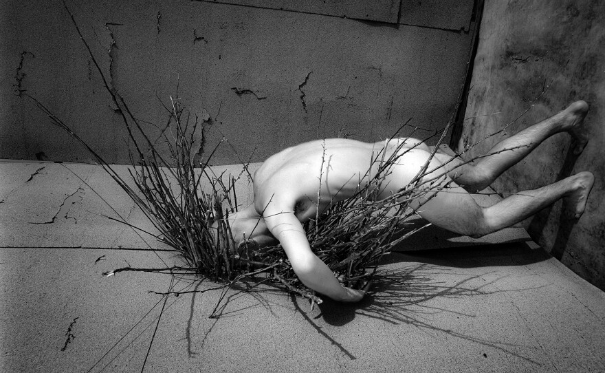 <em>Access</em>, 2021. A self-portrait with Russian olive branches. Suspension.