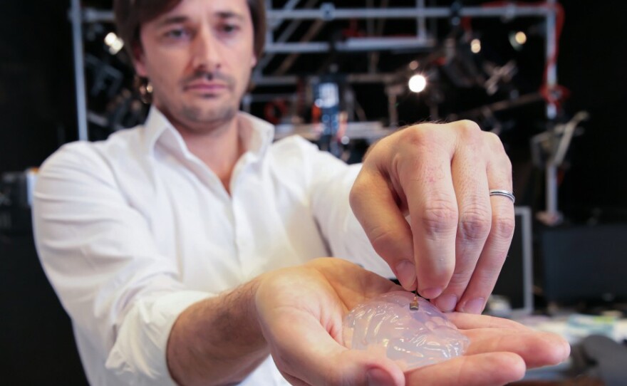 Gregoire Courtine, a neurologist at the Swiss Federal Institute of Technology, holds a silicone model of a primate's brain with an electrode array. The goal is to pick up signals from the brain and transmit them to the legs.