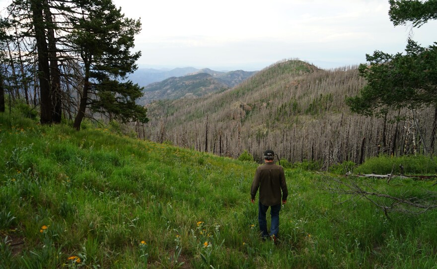 The Gila National Forest, where Connors works, is an outlier in a lot of ways. Ten lookouts are still regularly staffed each summer. Many are veterans like Connors.