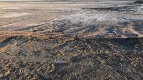 This region, known as Red Hill Bay, used to be under water on the eastern edge of the Salton Sea on Mar. 13, 2019.