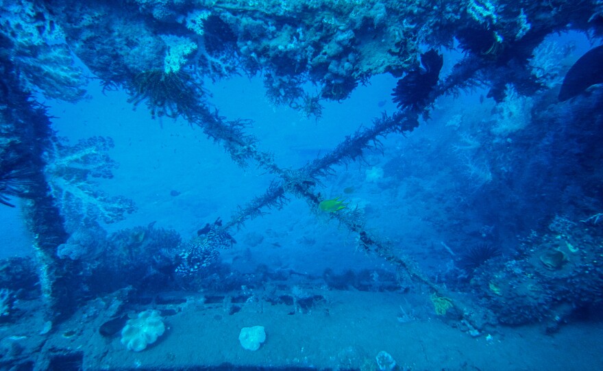 Part of the wing of a Japanese biplane lies in the water near Rabaul.