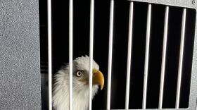 Clark's team strongly recommends you don't poke your fingers through the window of Clark's crate.