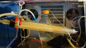 Ian Marcus engineered this model of a human colon to study how bacteria might spread downstream from septic tanks. 