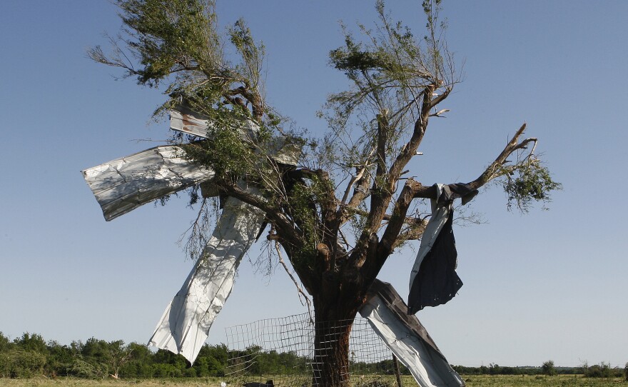 After the storm: Sheet metal that was torn off a building during Friday's tornado in El Reno, Okla., ended up caught in a tree.