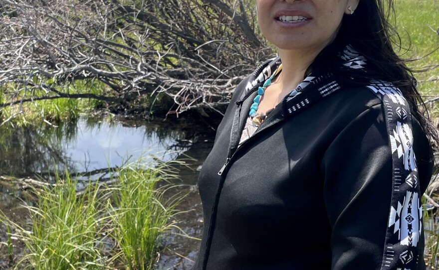 Blackfeet researcher Souta Calling Last surveys wetlands that serve as a watering hole for deer, elk and moose on the Blackfeet Indian Reservation in Montana. Calling Last is heading a program that will take dogs to sites like these to sniff out chronic wasting disease.