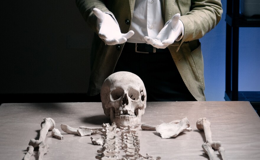 Gabriel Zuchtriegel, Director of Pompeii, in lab with full skeleton.