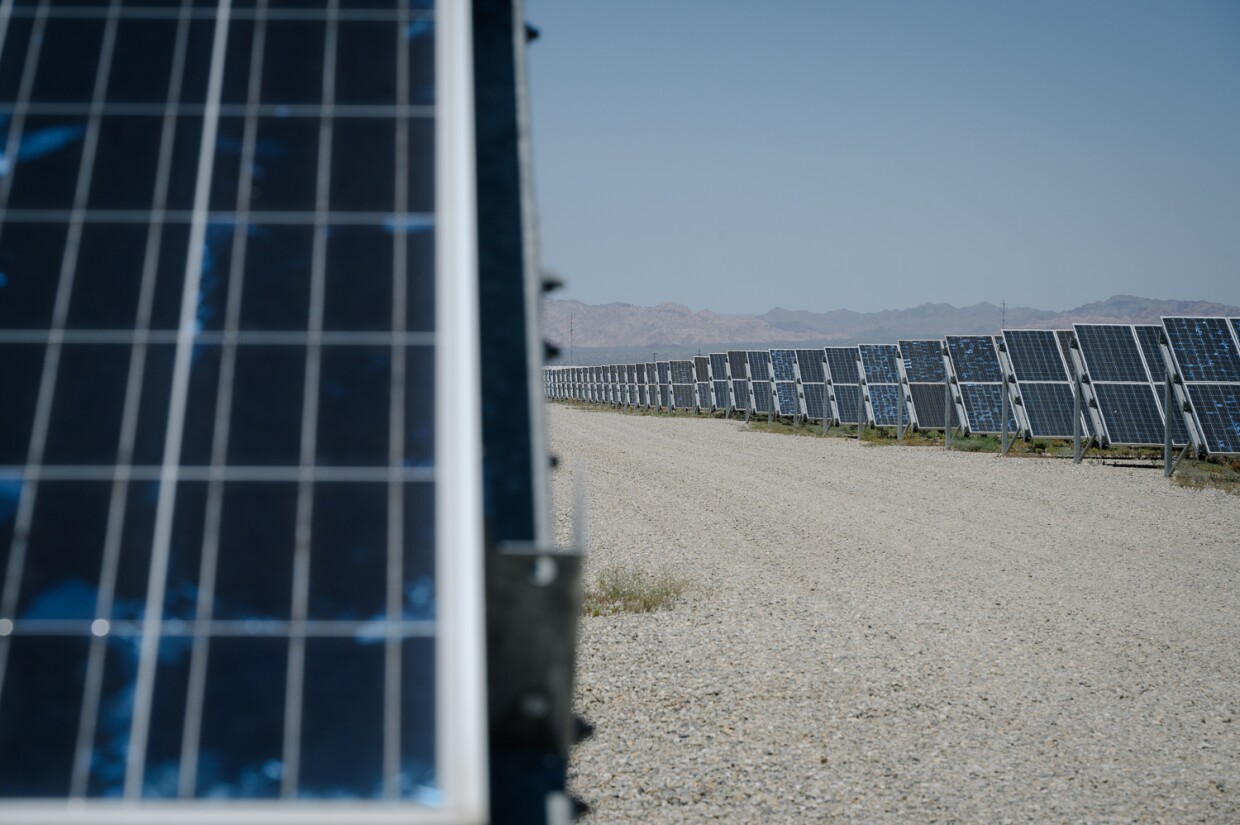 Scenes from the Imperial Irrigation District’s grass carp hatchery in El Centro in Imperial County on May 7, 2024.