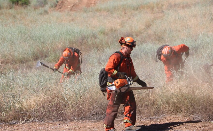 California inmate firefighters help the Tuolumne-Calaveras Unit with vegetation management in June 2020.