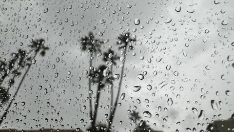 Rain drops are shown on a car window with palm trees in the background on March 6, 2024. 