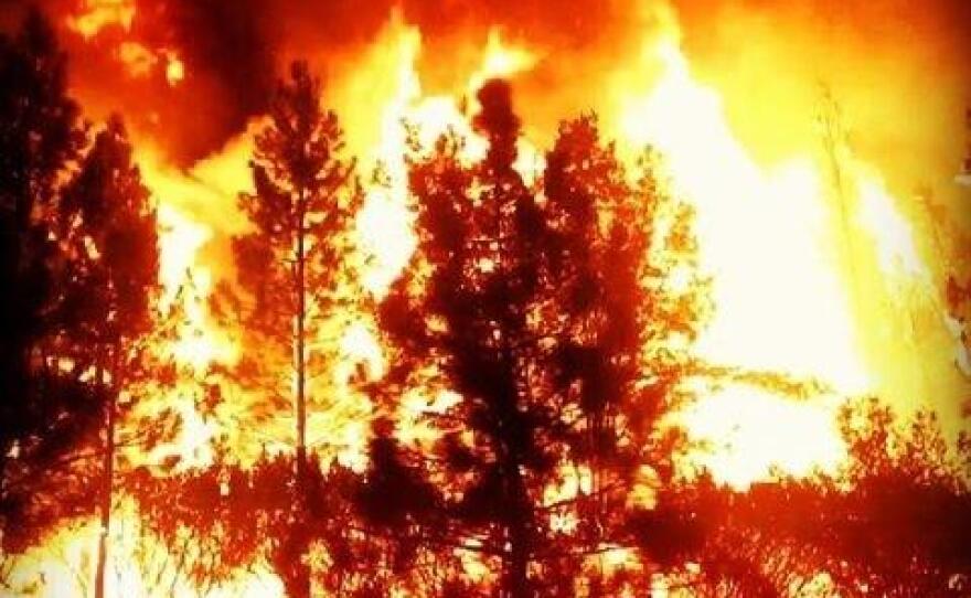 The Rim Fire burns in Yosemite National Park. 