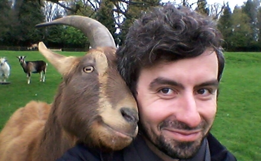 Researcher Christian Nawroth with Vern, who lives at the Buttercups Sanctuary for Goats in Kent, England. He thinks Vern was looking to be scratched.