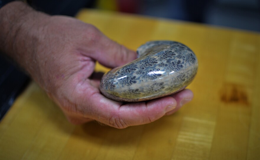 Paleontologist Richard Norris holds up an ammonite fossil in this photo taken on September 18, 2019.