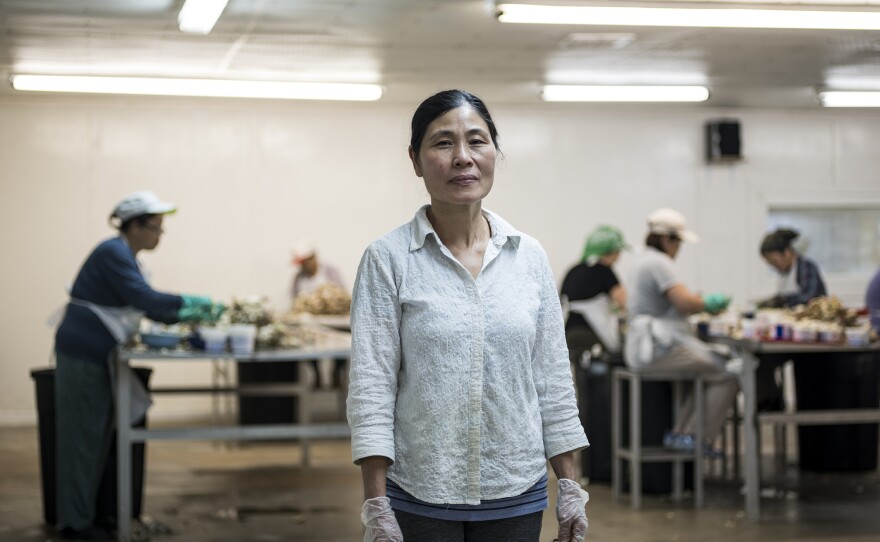 Van Le, who owns Seadrift Seafood along with her husband, inside of her processing room where Vietnamese women pick the meat from crabs and pack them in containers.