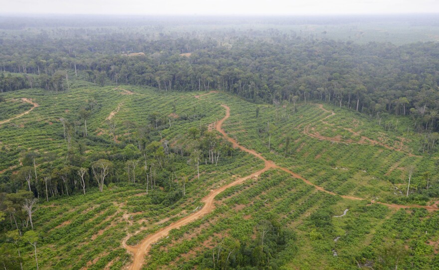 An aerial view of oil palm fields of international agro-food company Olam, in Kango, central Gabon, on May 22, 2014.