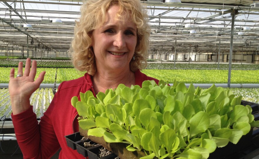 Host Nan Sterman checks out some baby lettuce on her visit to Go Green Agriculture.