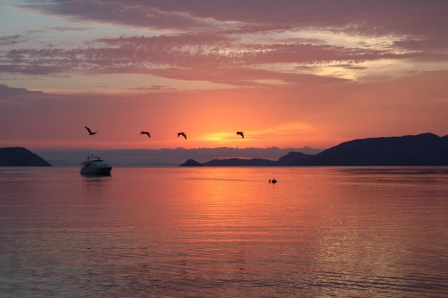 CROSSING SOUTH Bahia De Los Angeles Fishing & Snorkeling KPBS