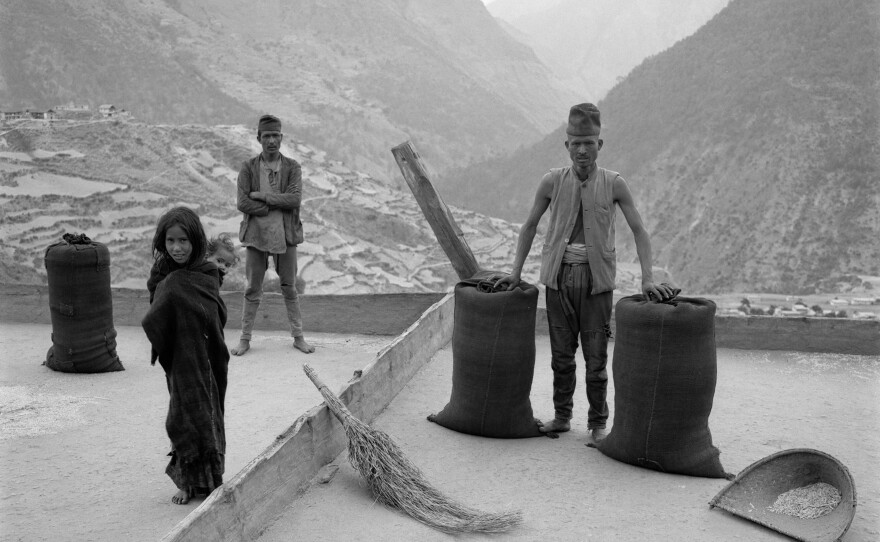 The villagers of Karkibada take to the rooftops to thresh and bag their harvest of winter barley and wheat. 1985.