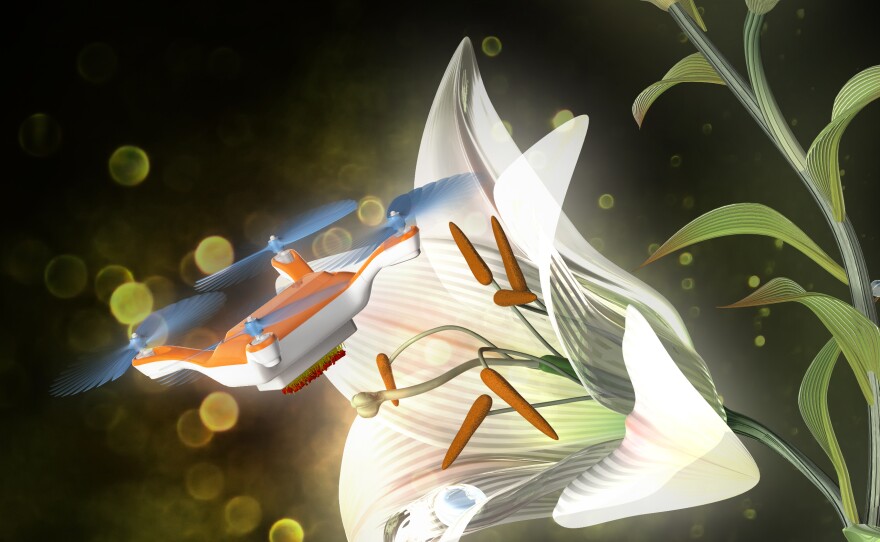 An artist's illustration shows how a remote-controlled drone might one day be used to pollinate flowers.
