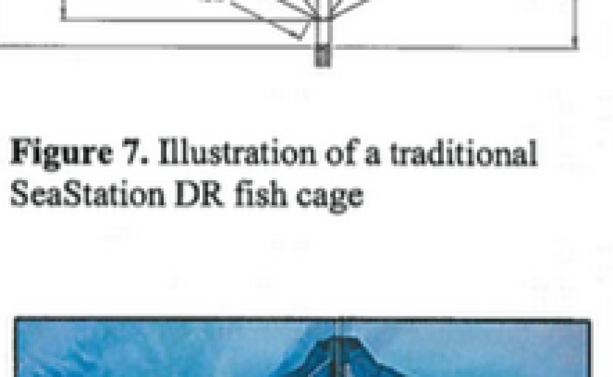 Potential designs of the fish cages in the proposed Rose Canyon Fisheries aquaculture project.