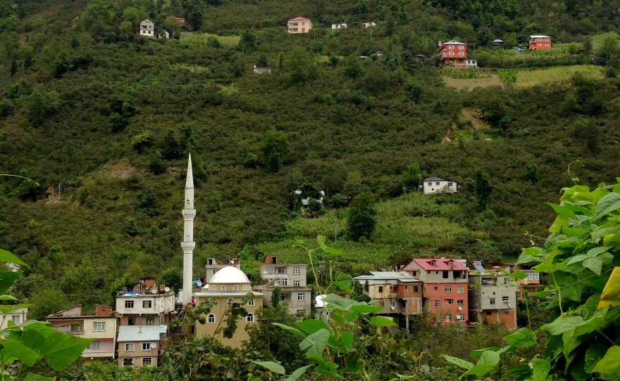 Steep hills surround the village of Kuskoy, high in the mountains above Turkey's Black Sea coast. Some villagers here can still understand the old "bird language," a form of whistled Turkish used to communicate across these deep valleys.