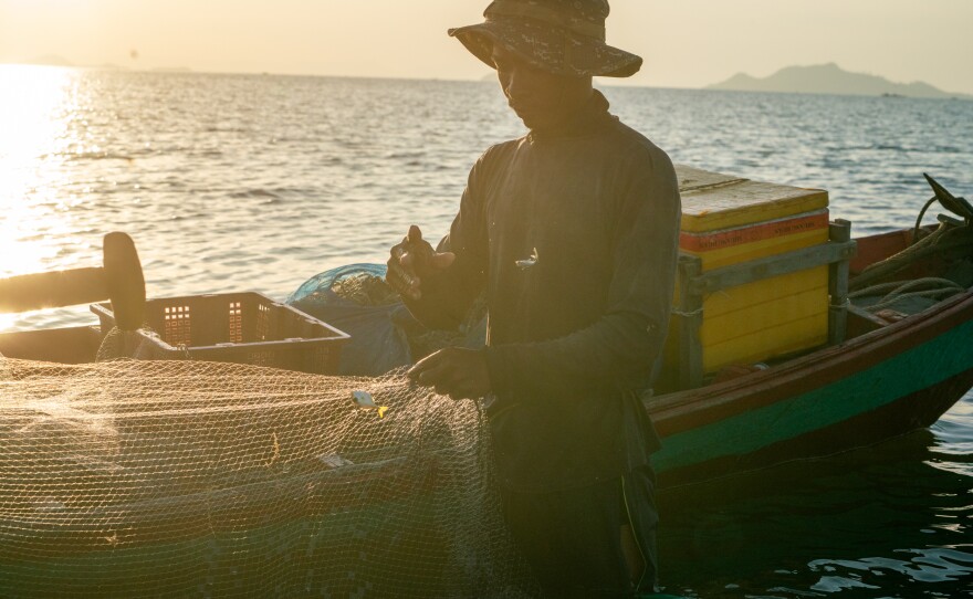 A fisherman sorts through his catch at sunset.
