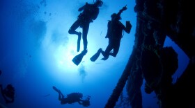 Four divers make scientific observations on an artificial reef off the coast of Texas. 