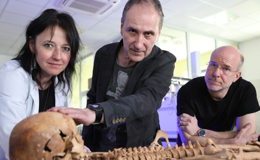 Archaeologist Prof. Dariusz Poliński, of Nicolaus Copernicus University in Toruń (center), with the 'vampire' skeleton he excavated in rural Poland, along with facial reconstructor Oscar Nilsson (right) and anthropologist Dr. Alicja Drozd-Lipińska (left).