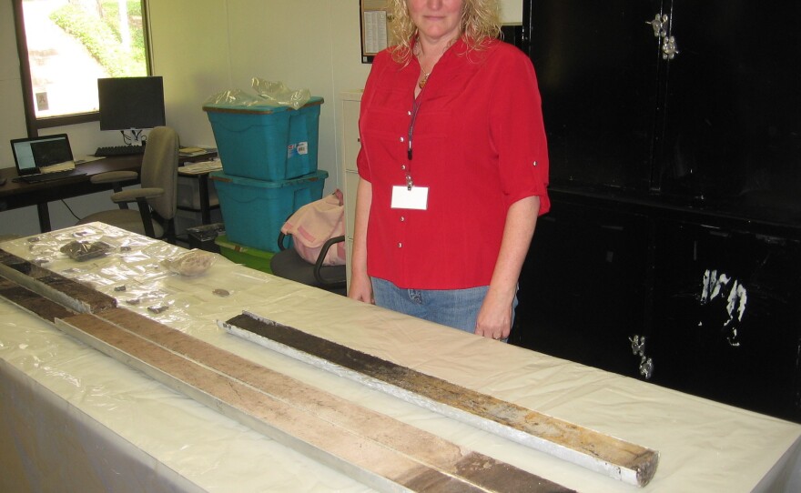 Paulette McFadden examines some of the 24 cores that detail the history of the pre-Columbian settlements in Florida's Horseshoe Beach area.
