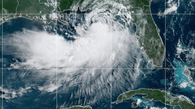 This NOAA satellite image taken at 10:30 a.m. EDT on Tuesday, July 21,  shows Tropical Storm Bertha moving along the Gulf of Mexico's northern coast.