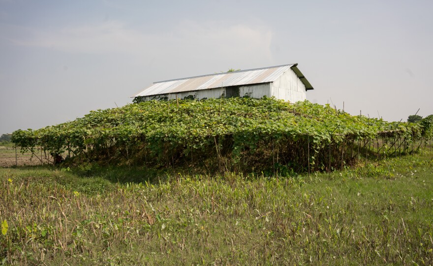 Houses on a char are built on higher ground to avoid flooding.