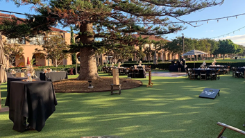 Live Music with 'Fish and the Seaweeds'