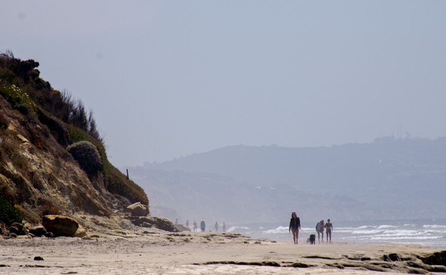 _MG_2264.jpg