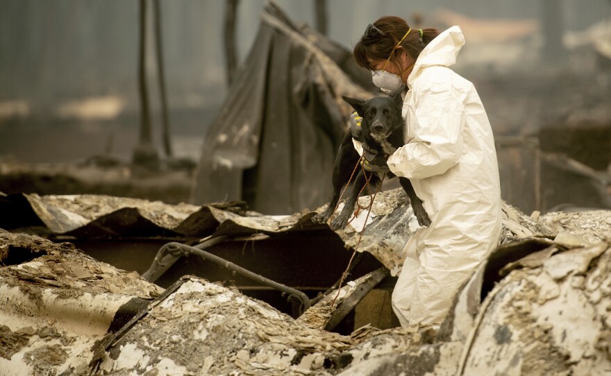 A search and rescue worker, looking for Camp Fire victims, carries Susie Q. to safety after the cadaver dog fell through rubble at the Holly Hills Mobile Estates on Wednesday in Paradise, Calif.