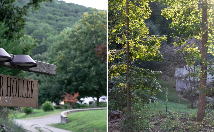 The sisters affectionately call their childhood family compound "the holler."
