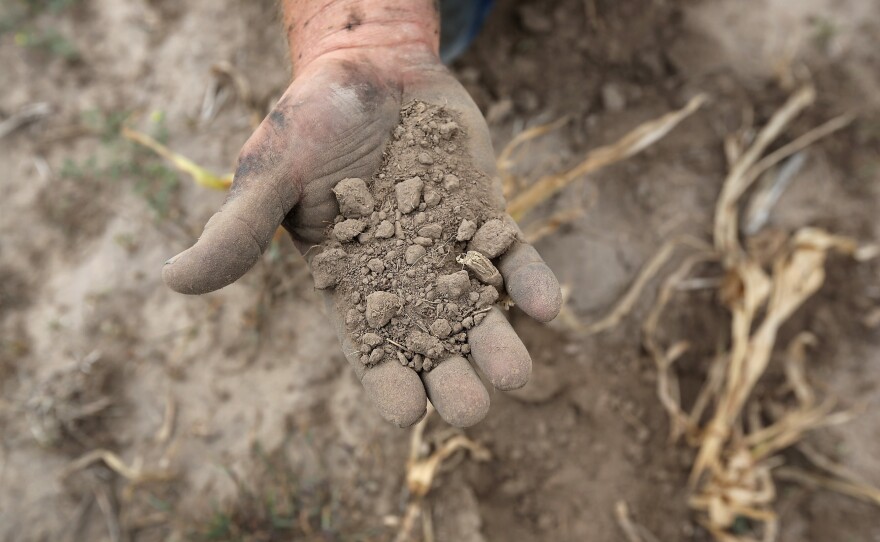 Ruined topsoil in Logan, Kansas, in August of last year. Drought conditions will persist in parts of the country this spring and summer, forecasters say.