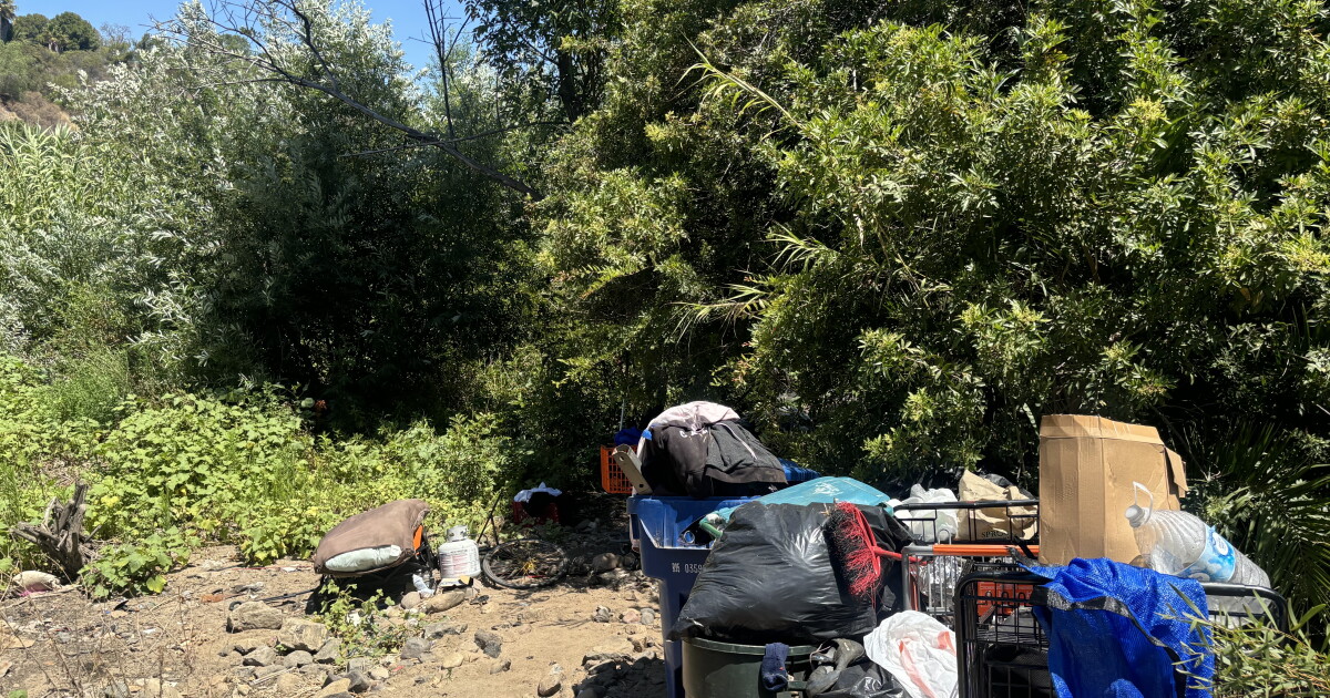 Street Outreach Work Is Getting More People Off San Diegos Streets But Seniors Are Staying Homeless Longer