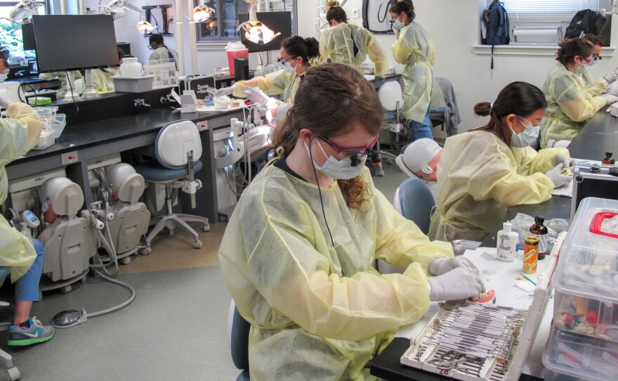 Third-year students at the Harvard School of Dental Medicine learn how to trim crowns and prep a tooth for a crown. They're also learning to deal with the aftereffects, studying alternatives to opioids for pain relief.