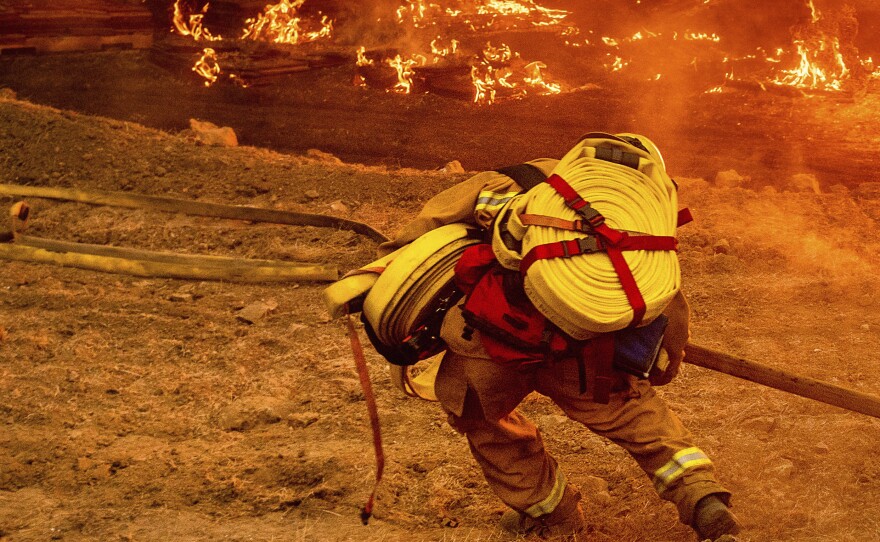 A firefighter carries a hose while battling the Glass Fire in a Calistoga, Calif., vineyard, Oct. 1