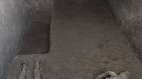 The casts of what are believed to have been a rich man and his male slave fleeing the volcanic eruption of Vesuvius nearly 2,000 years ago, are seen in what was an elegant villa on the outskirts of the ancient Roman city of Pompeii destroyed by the eruption in 79 A.D., where they were discovered during recent excavations, Pompeii archaeological park officials said Saturday, Nov. 21, 2020.