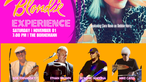 'Dreaming - The Blondie Experience'