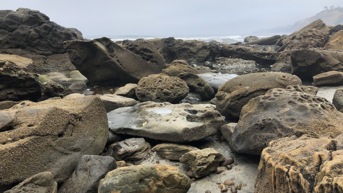 San Diego researchers see role for public opinion in global warming fight - Vimarsana News