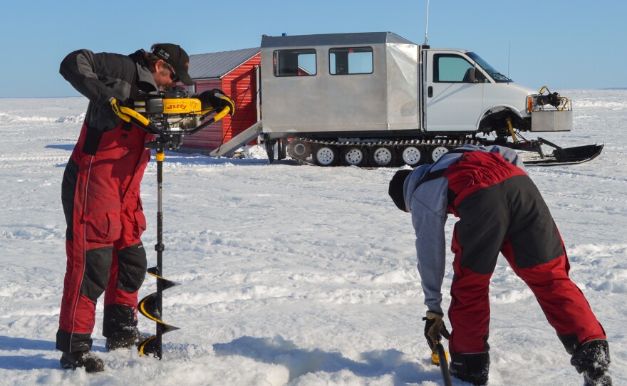 Anglers must drill holes into ice that's often more than two feet thick. They set up their fish houses over these holes.