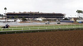 A horse and rider train on the turf during morning workouts before the Breeders Cup horse races Tuesday, Oct. 31, 2017, in Del Mar, Calif.