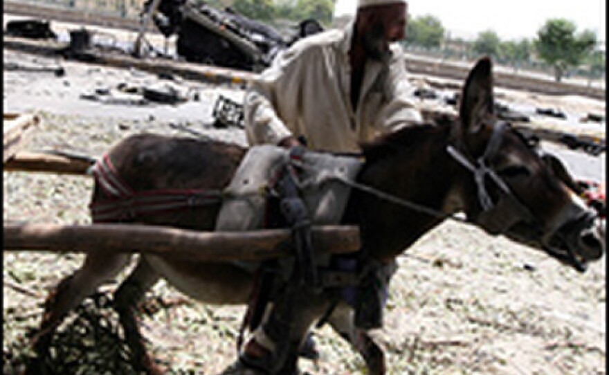Afghan man with donkey in 2008
