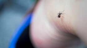 Do your ankles feel like a buffet these days? Test your knowledge of tactics to prevent bites.