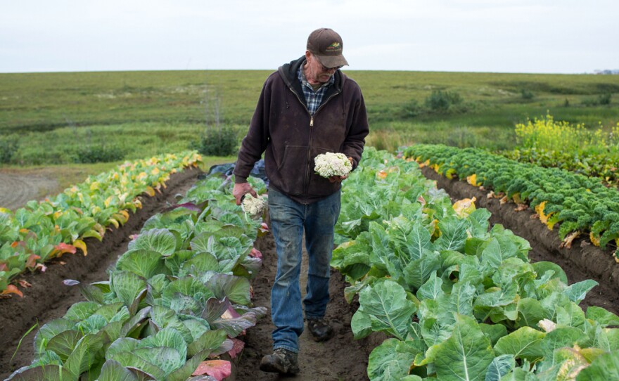 Tim Meyers on his four-acre vegetable farm in southwestern Alaska. Behind him: an endless sea of tundra, and a glimpse of the town of Bethel.