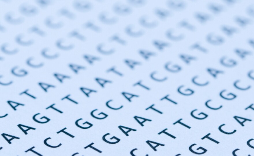 When researchers looked at the genetic sequences of 179 individuals, they found far more defects in the patterns of As, Ts, Gs, and Cs than they expected.