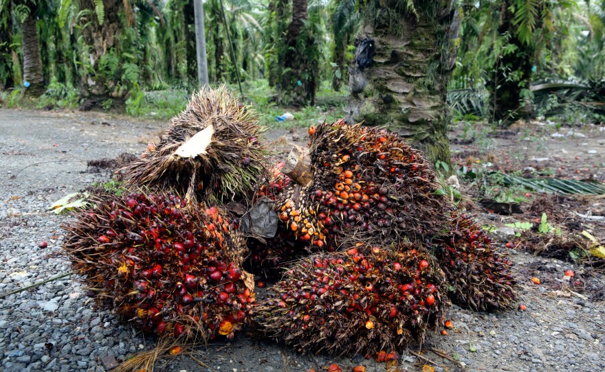 Have you eaten food made with this fruit today? Probably. Palm oil comes from these crimson kernels, which cluster together in big bundles. Nearly half of all products in supermarkets contain palm oil.