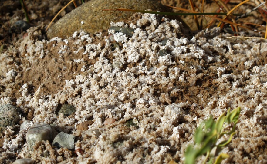 White crystal-like deposits line a streambed where this oil field water is flowing. Researchers for the tribes have also found black oozes, purple growths, dead ducklings and lifeless stretches of streams.